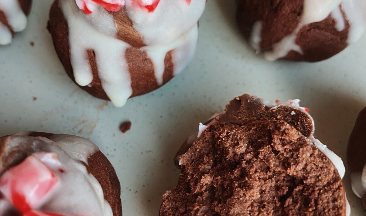 Peppermint Chocolate Protein Bites